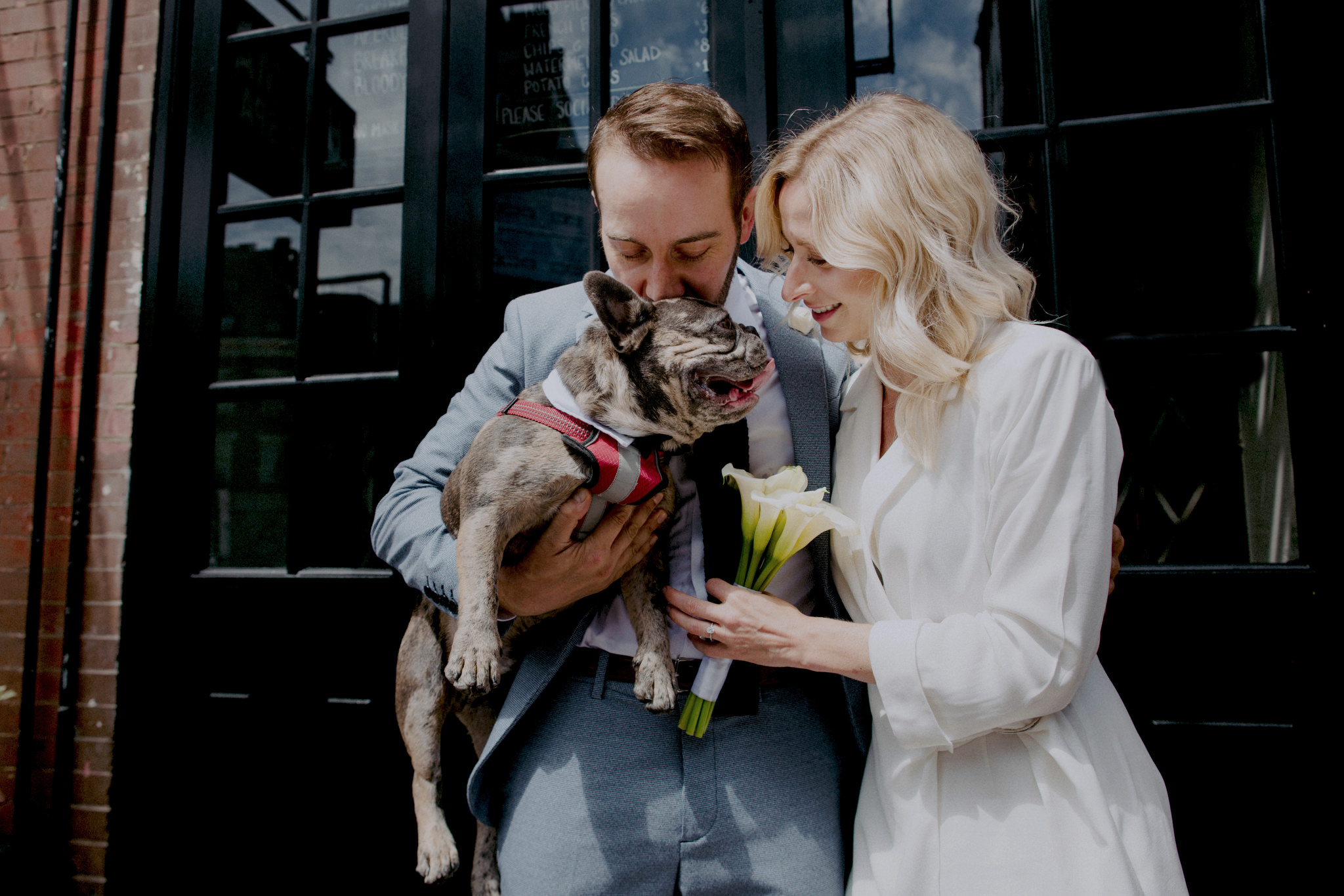Bride and groom portrait with their French bulldog on day of their micro wedding