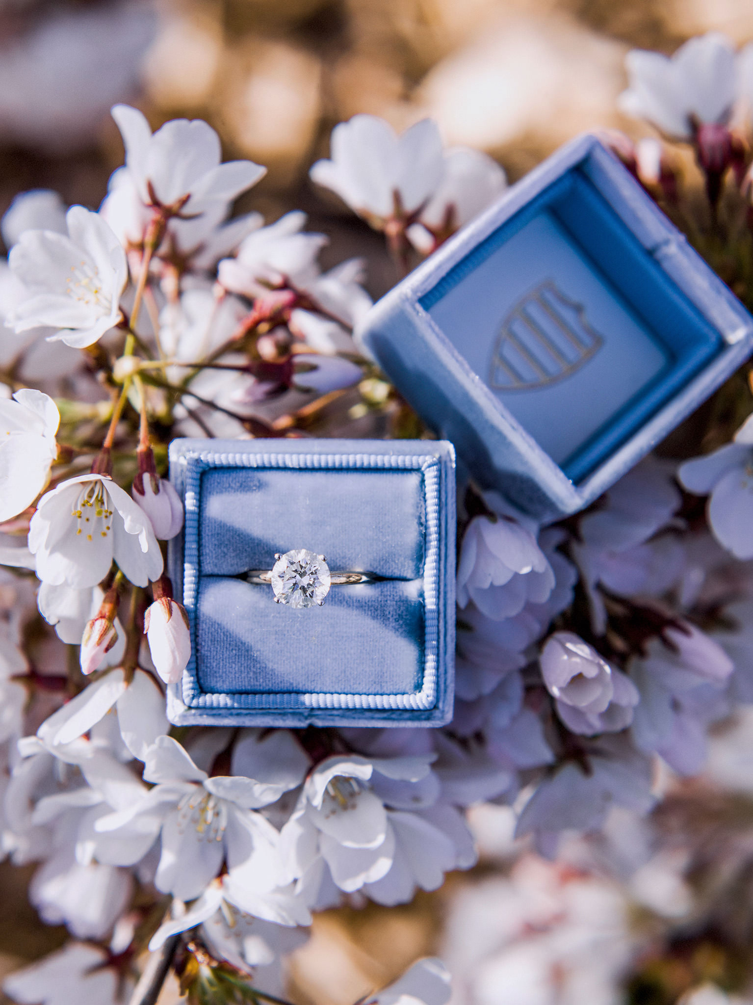 diamond engagement ring in baby blue velvet box sitting on top of cherry blossoms