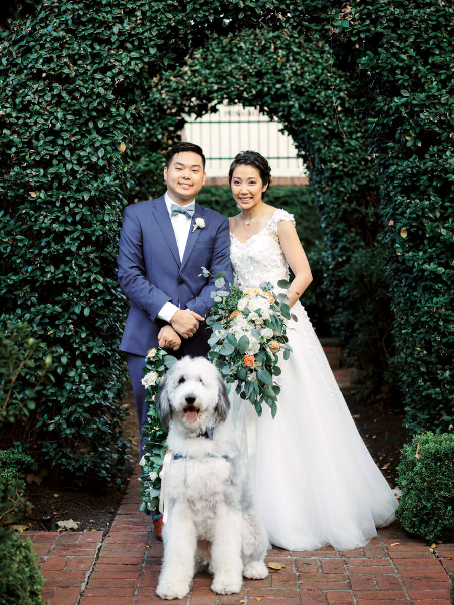 Bride and Groom with their dog; arch with green vines on the background