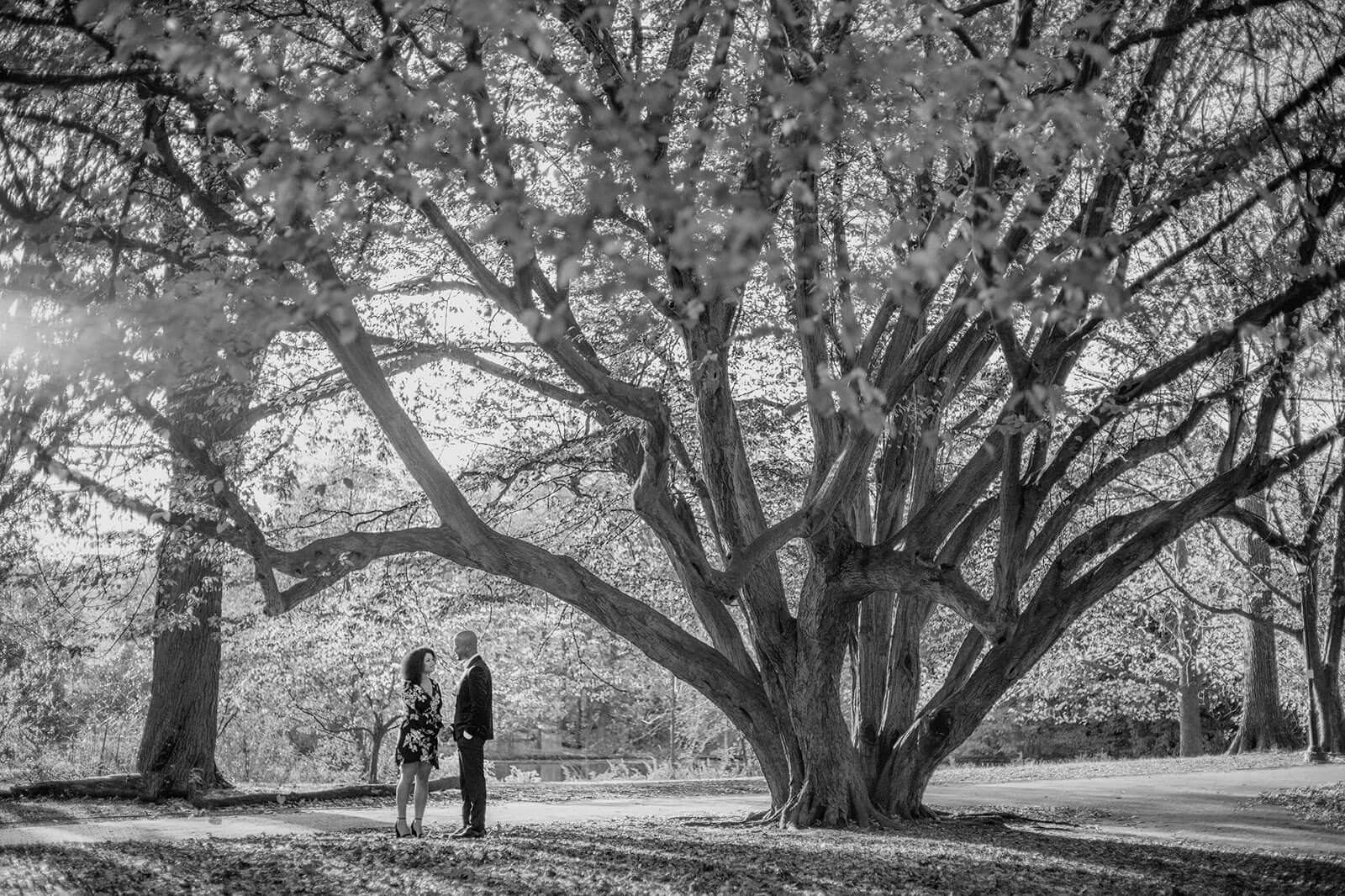 Black and white photo of the engaged couple talking under a huge tree in Brooklyn, NYC. Image by Jenny Fu Studio  