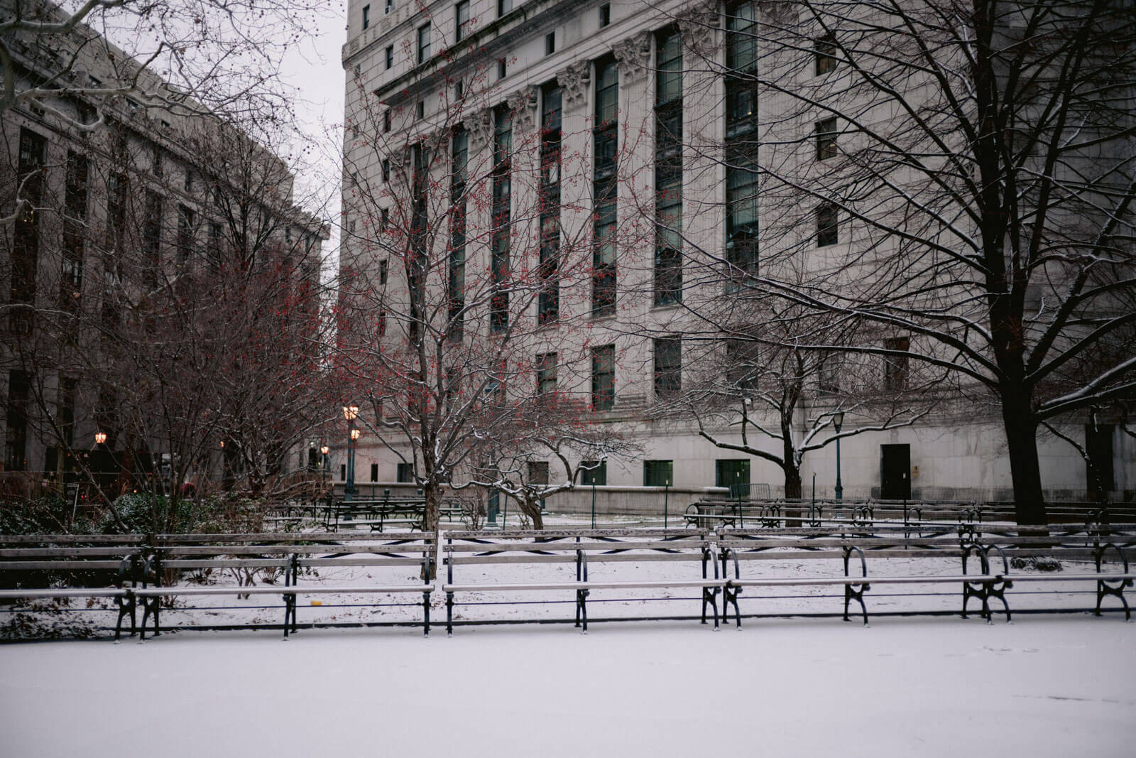 Winter outside New York City Hall. Image by Jenny Fu Studio