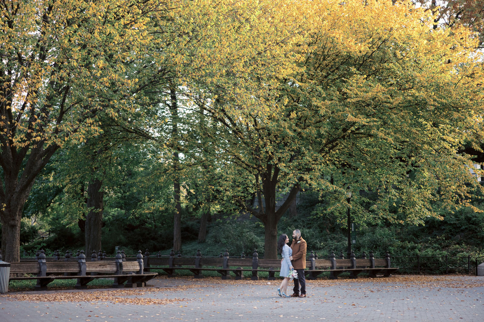 The engaged couple is standing in the middle of a park with lovely foliage in the background. Image by Jenny Fu Studio