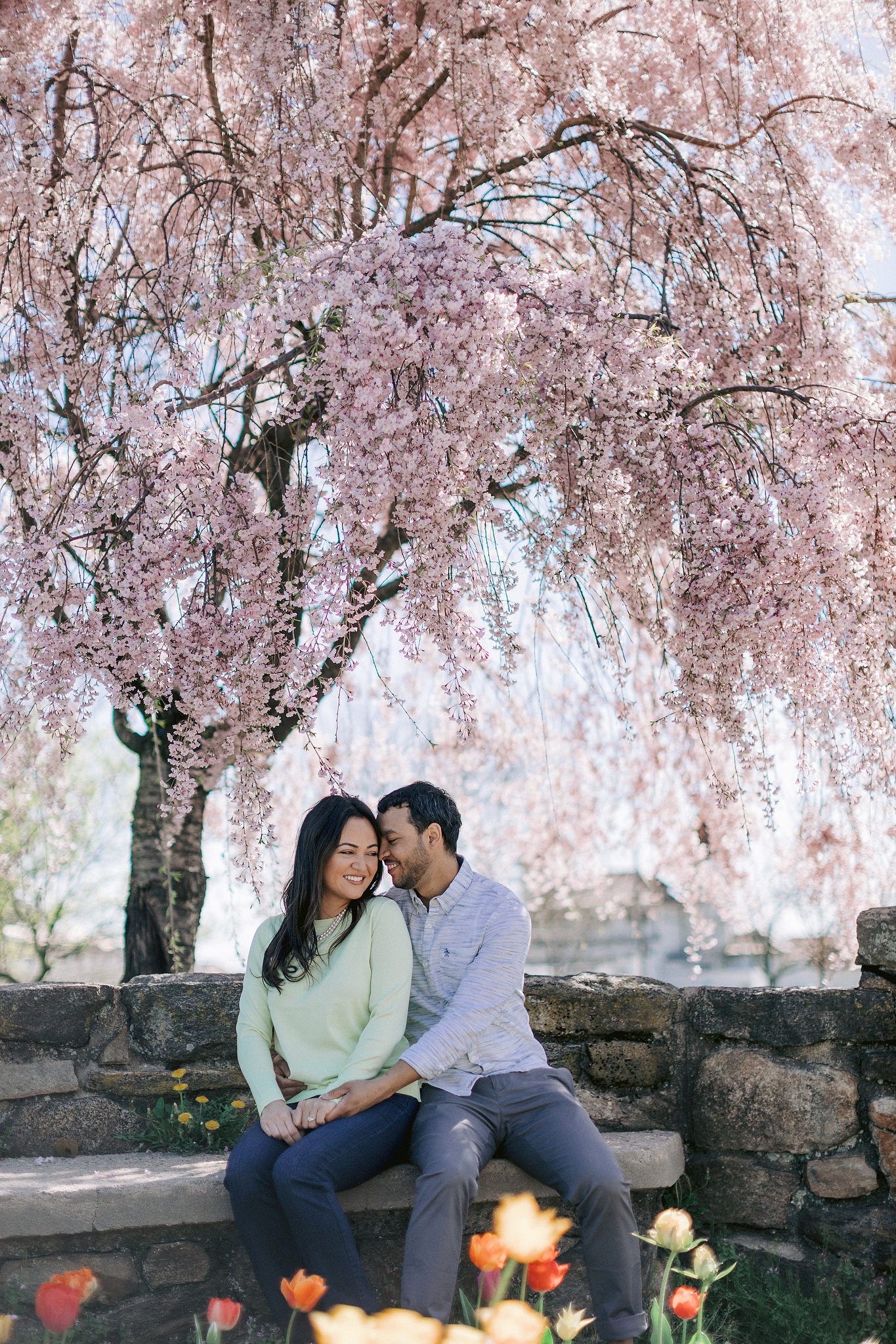The couple are lovingly sitting on a stone bench under the cherry blossom tree. NYC spring engagement Image by Jenny Fu Studio