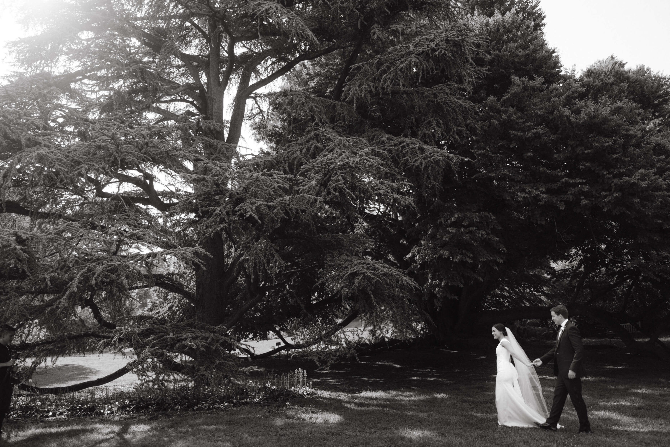 Black and white editorial photo of the bride and groom walking along large trees. Image by Jenny Fu Studio