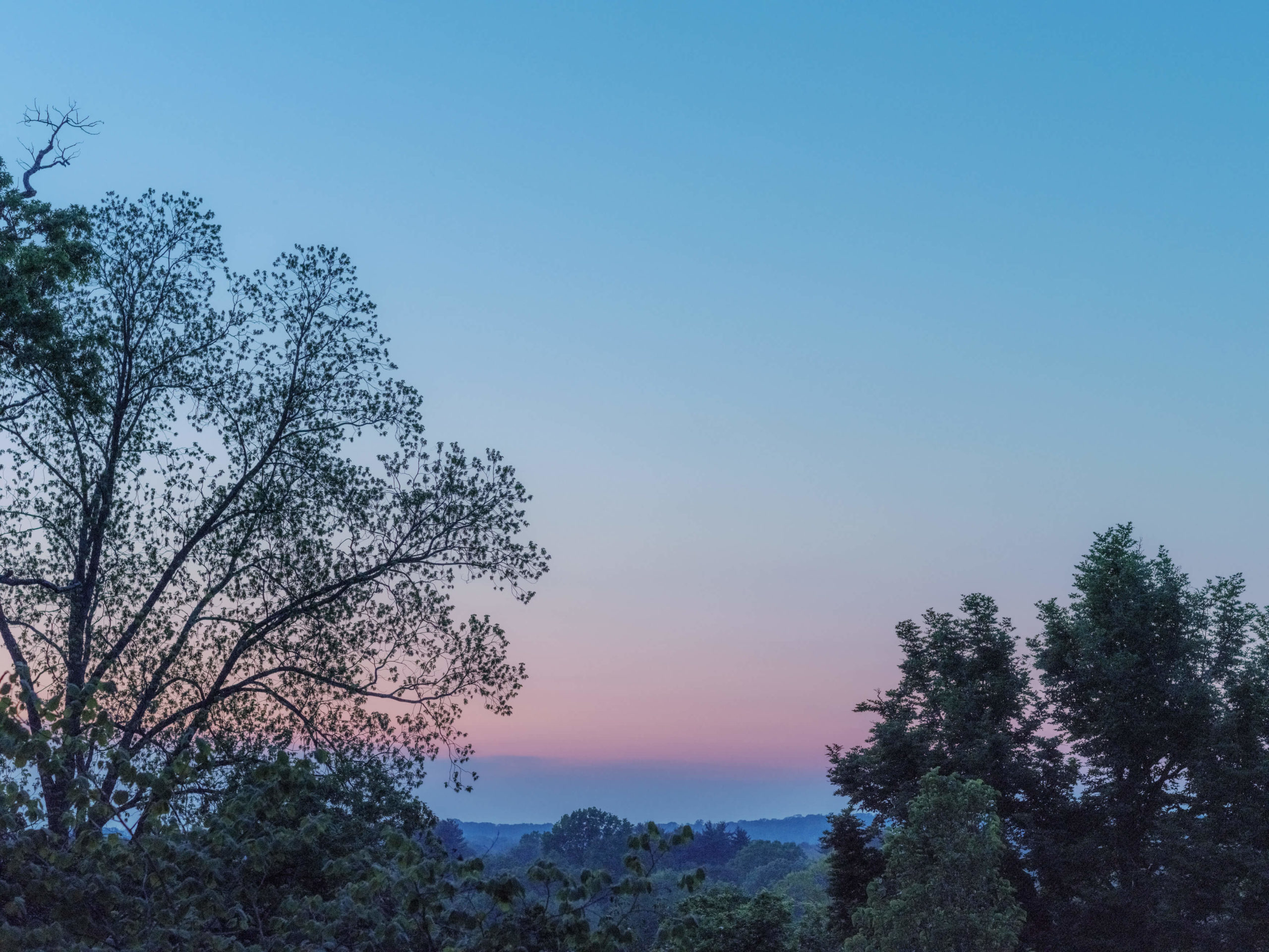 Sunset image with blue and orange hues behind trees. Image by Jenny Fu Studio
