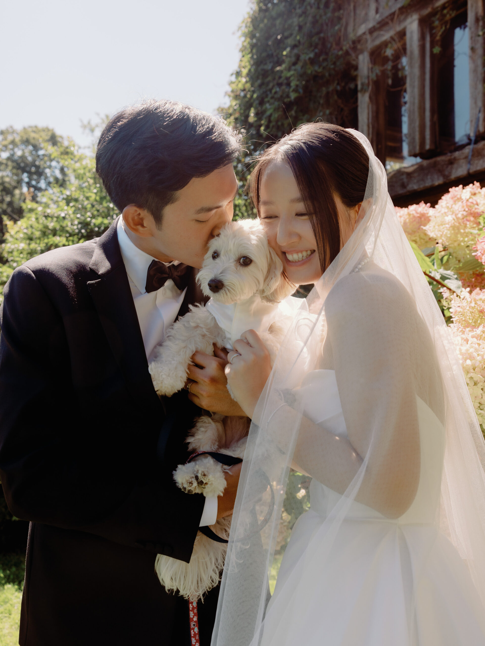 Candid image of the bride and groom with their dog. Photo by Jenny Fu Studio