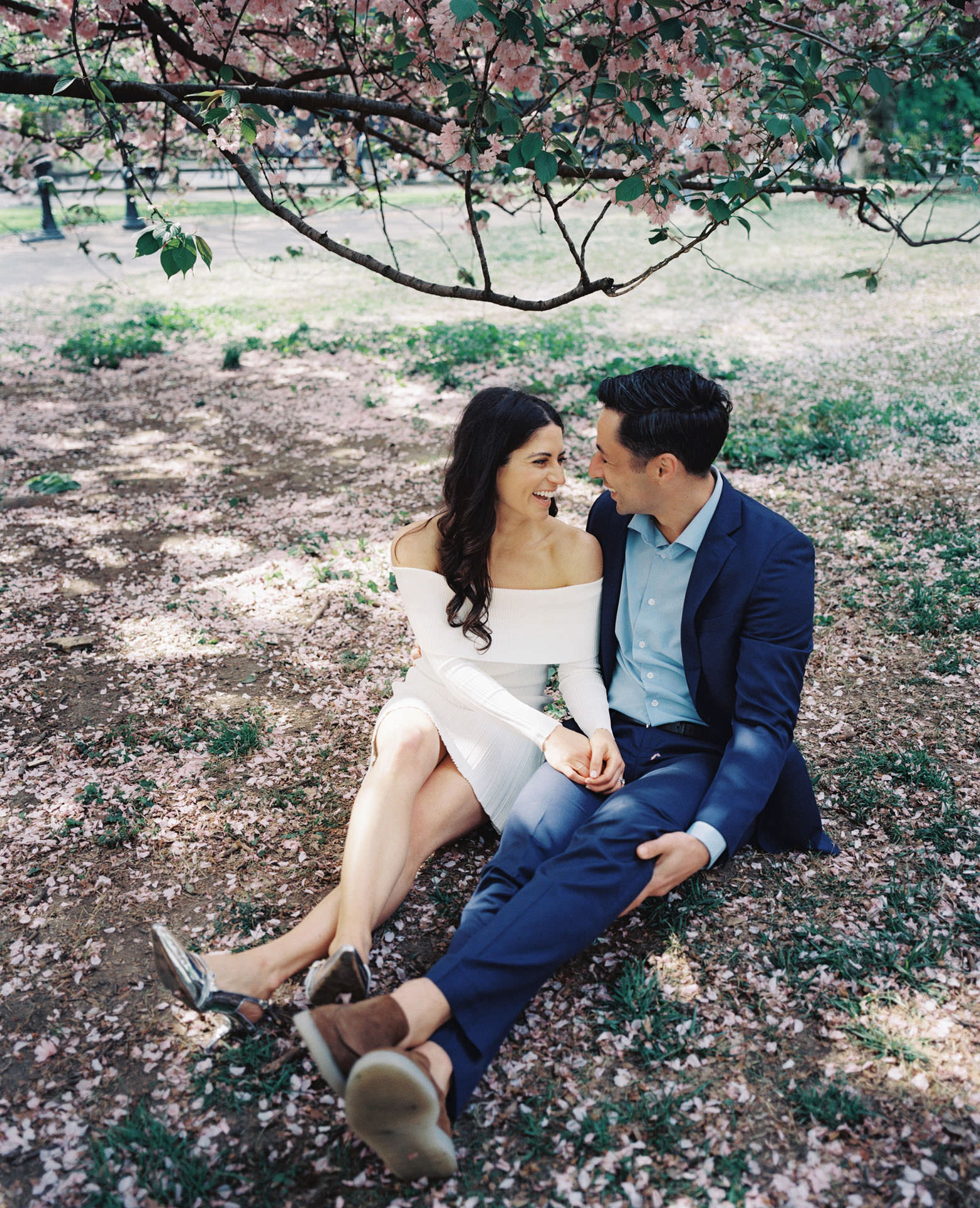 An engaged couple sitting on the grass at Cherry Hill, surrounded by a sea of pink cherry blossoms in full bloom.