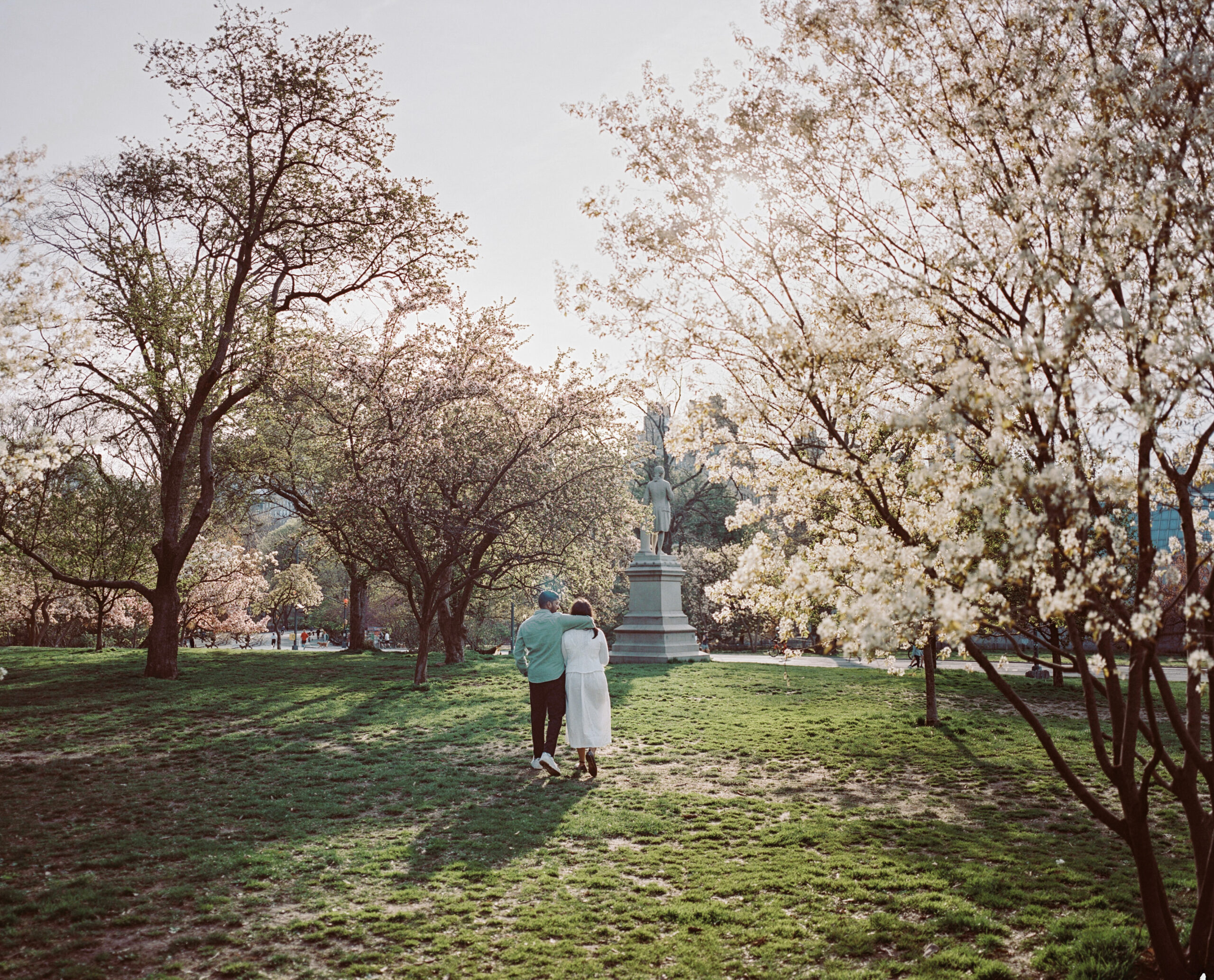 The engaged couple is walking in the middle of Central Park in spring, with cherry blossom trees around them. Image by Jenny Fu Studio