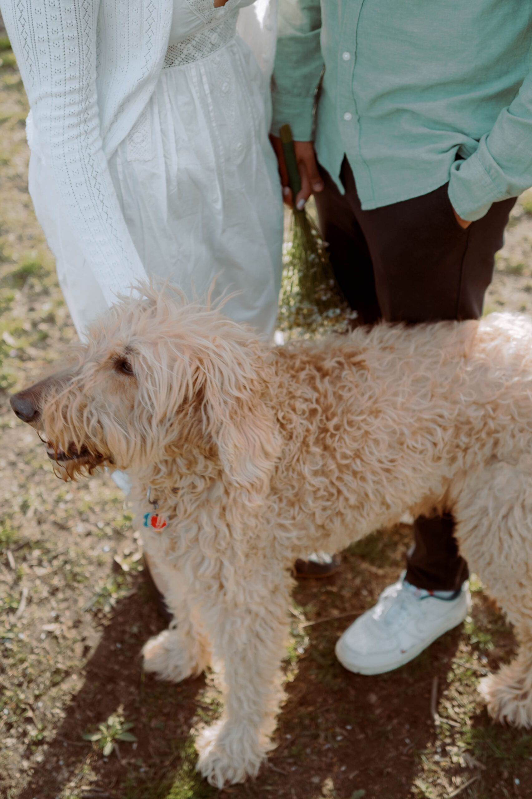 An engagement shoot with the couple's dog in NYC, captured by Jenny Fu Studio.