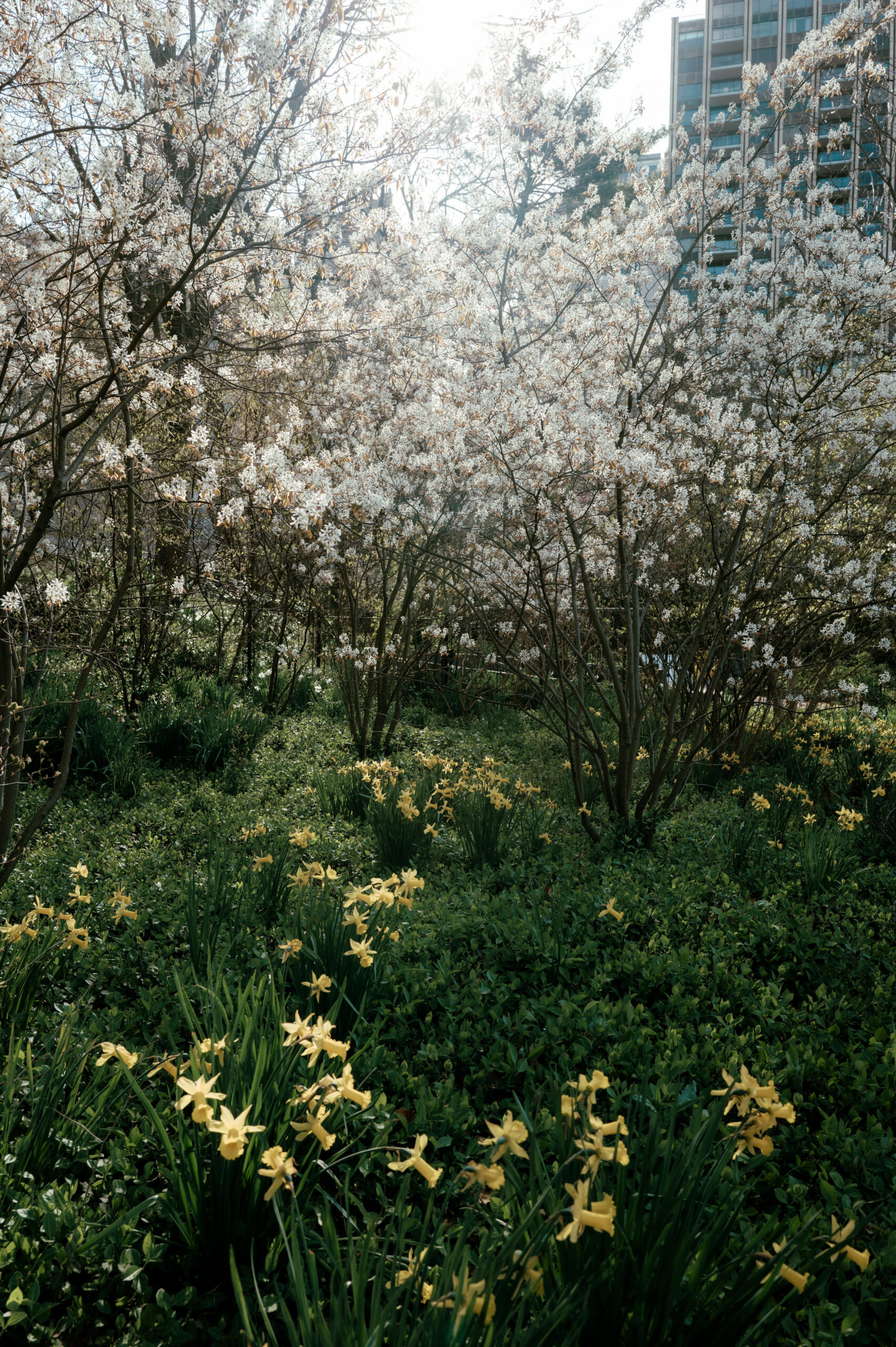 Beautiful spring flowers for an engagement shoot captured by Jenny Fu Studio.