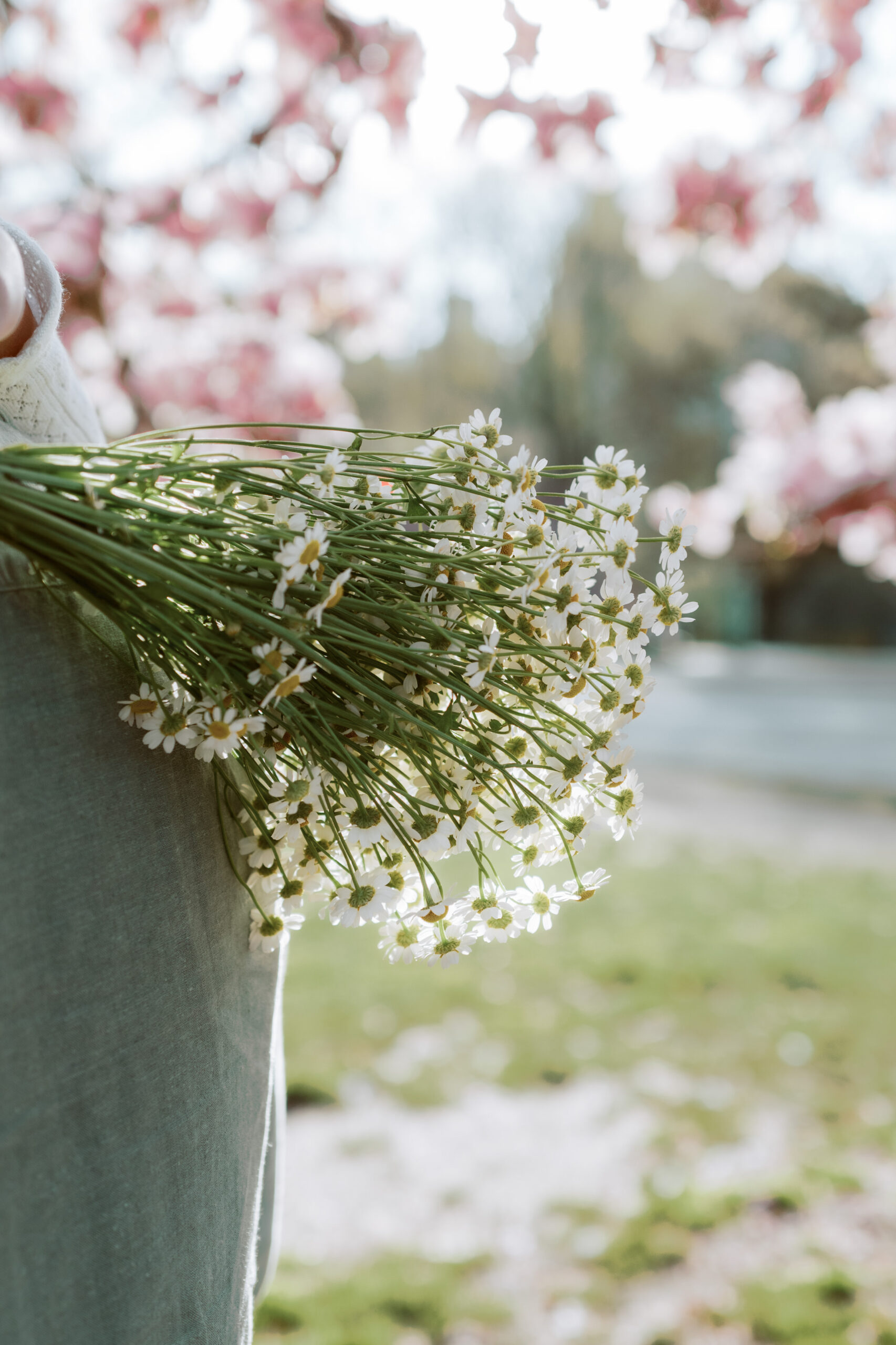 A bunch of daisies in Central Park, NYC, during spring, captured by Jenny Fu Studio for an authentic wedding storytelling.