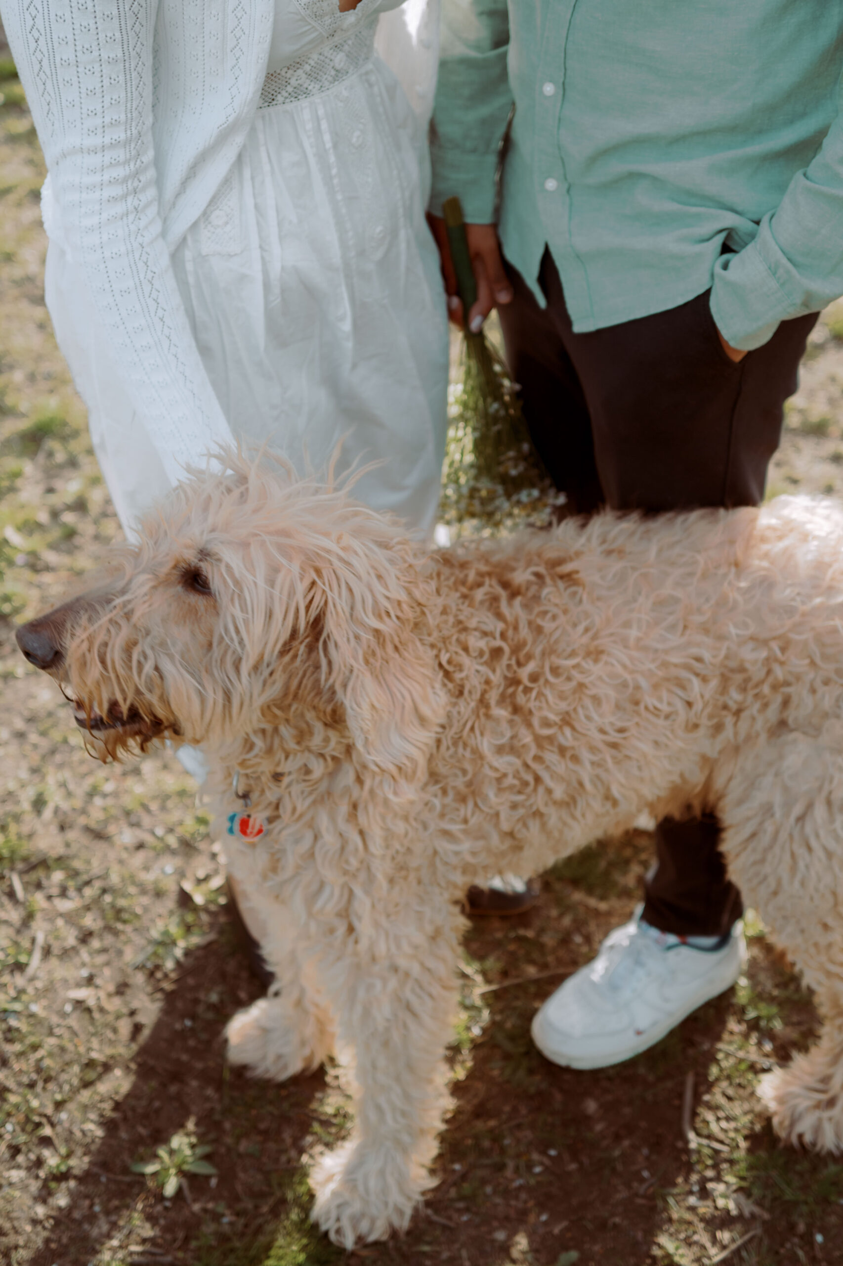 The engaged couple with their dog, captured by Jenny Fu Studio for an authentic wedding storytelling.