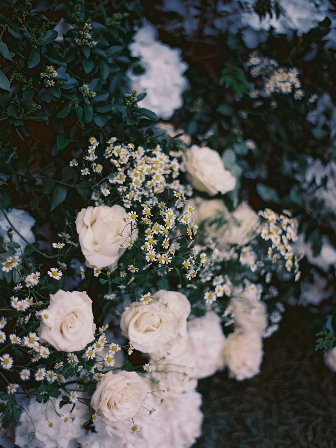 Beautiful white flowers in a digital and film wedding photography captured by Jenny Fu Studio.